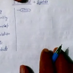 Er Diagram In Dbms In Hindi   13.depo Aqua.de • For Er Diagram Examples In Hindi