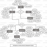 Human Resource Management System Er Diagram | Freeprojectz Within Er Diagram Examples With Solutions In Dbms