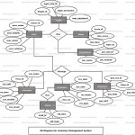 Inventory Management System Er Diagram | Freeprojectz Intended For Er Diagram Examples For College