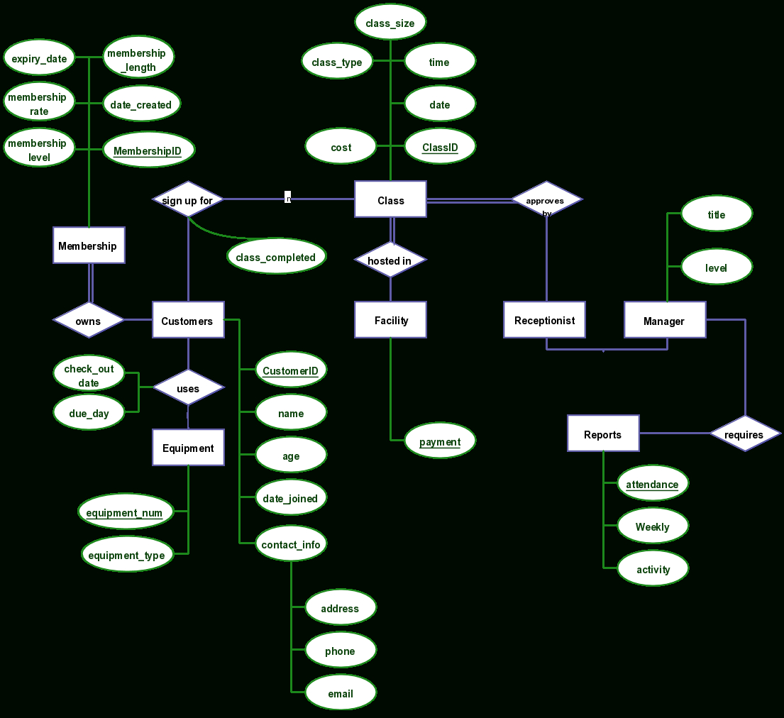 New Gym Management Program With Attributes Described On Er Diagram for Entity Relationship Diagram Examples Pdf