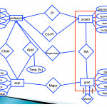 11 Tidy Data I: The Er Model | Lecture Notes: Introduction Regarding Er Diagram One To Many Arrow