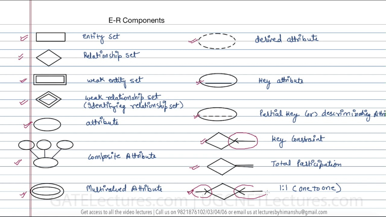 Components Of A Er Diagram