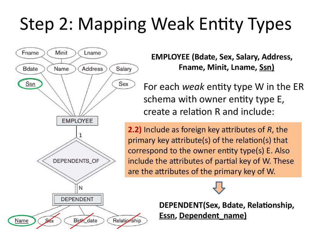 Analysis And Design Of Data Systems. Er To Relational in Er Diagram Partial Key