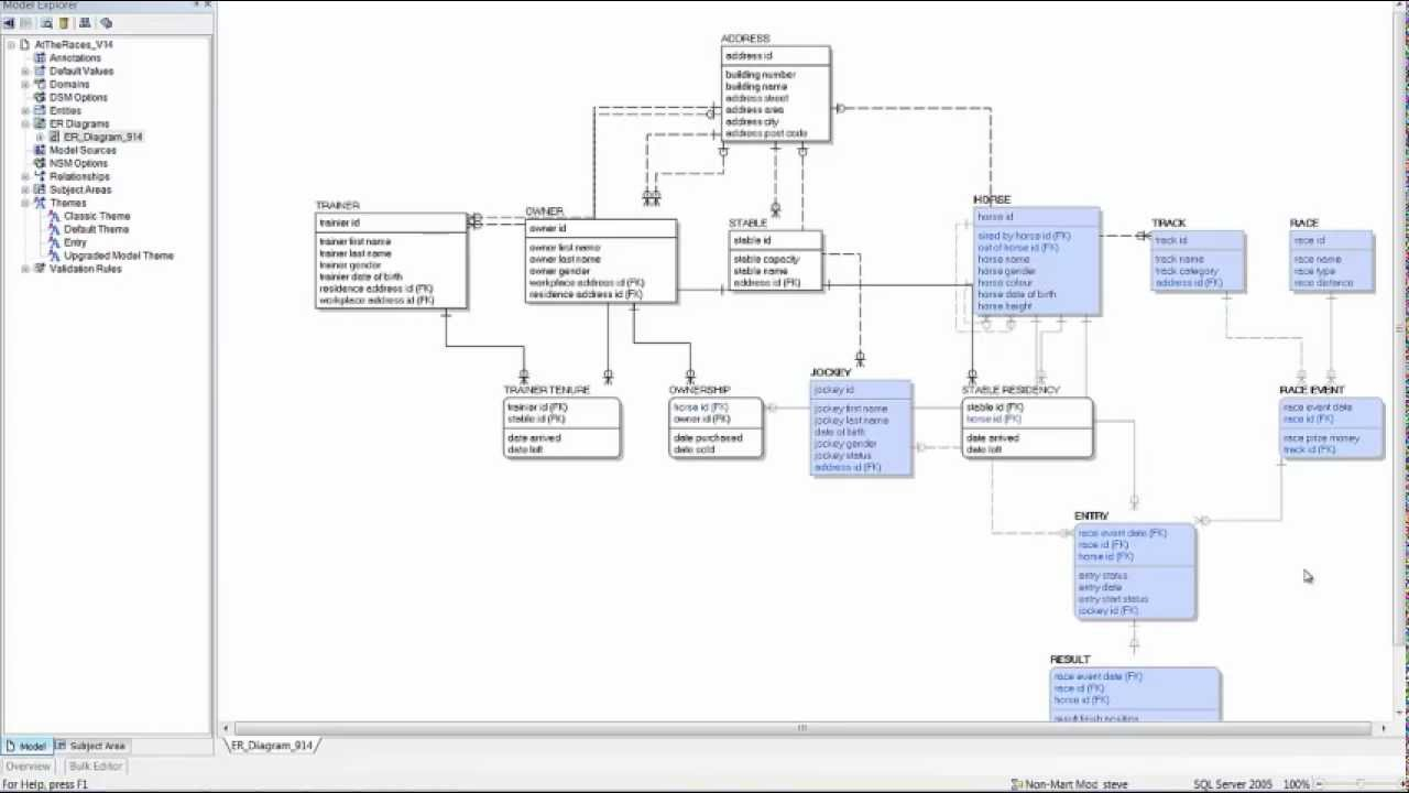 Ca Erwin Data Modeler R9: Colour-Coding Subject Area Members.mp4 within Erwin Diagram