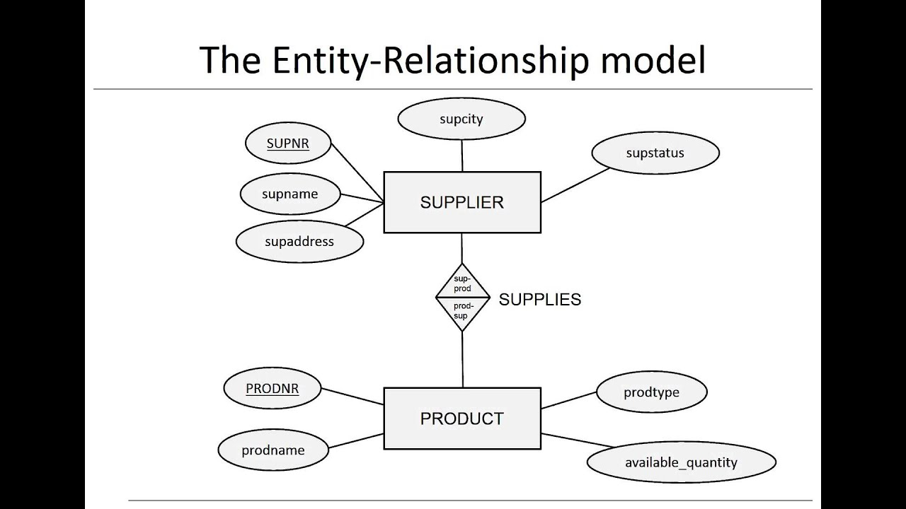 Chapter 3: Data Models - Er Model in Entity Relationship Diagram شرح
