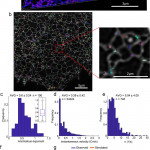 Characteristics Of Er Structural Components Mobility (A) 3D With Regard To 3D Er Diagram