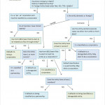 Check The Box Entity Classification Chart | Smolin Inside Entity Chart