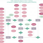 Chen Notation | Design Elements   Er Diagram (Chen Notation Intended For Er Diagram Thick Line