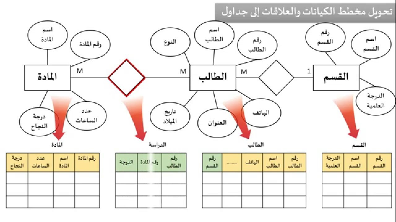 الدرس السادس : بناء مخطط الكيانات والعلاقات Entity Relationship Diagram within Entity Relationship Diagram شرح