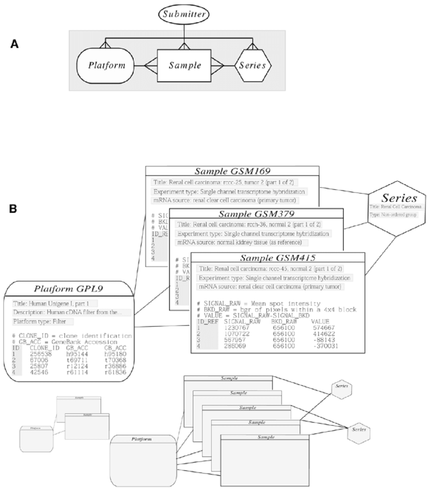 Database Entity Relationship Diagram Geo Schema And Example for Entity Example In Database