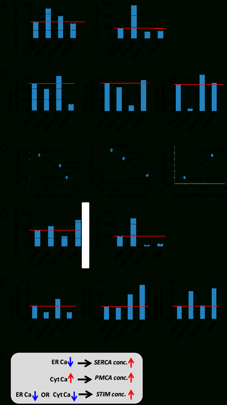 Demonstration That Multiple Parallel Adaptive Feedback Loops in Er Diagram Loop