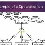 Eer Model For Eer Diagram Tutorial