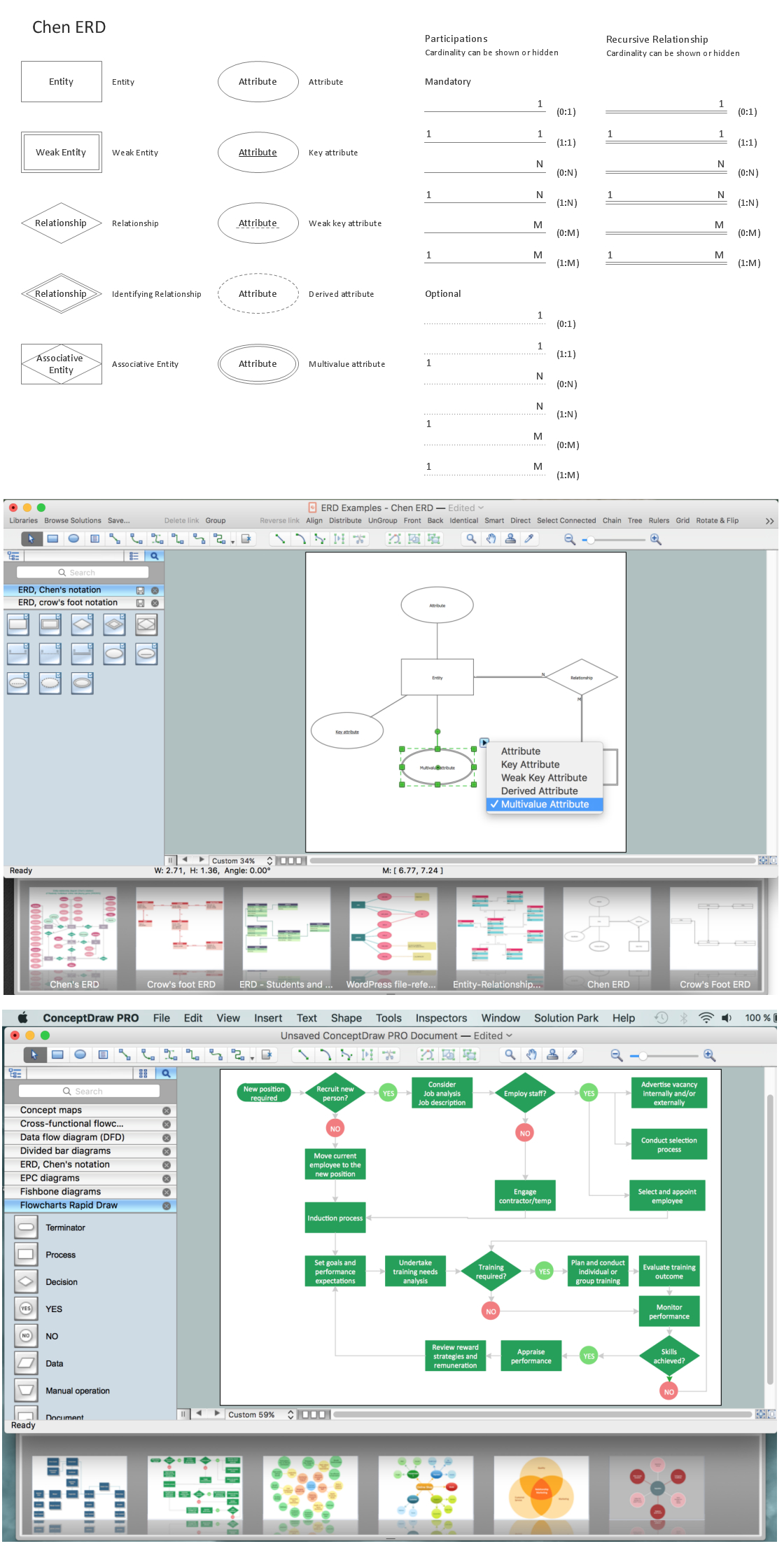 Entity Relationship Diagram | Design Element — Chen for M In Er Diagram