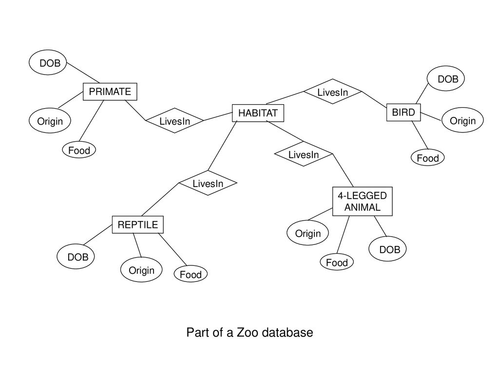 Entity Relationship Diagrams - Ppt Download with Er Diagram For Zoo Management System