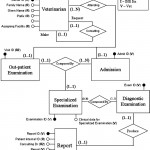 Entity: Relationship Model; The Veterinary Electronic With Er Diagram In Access 2007