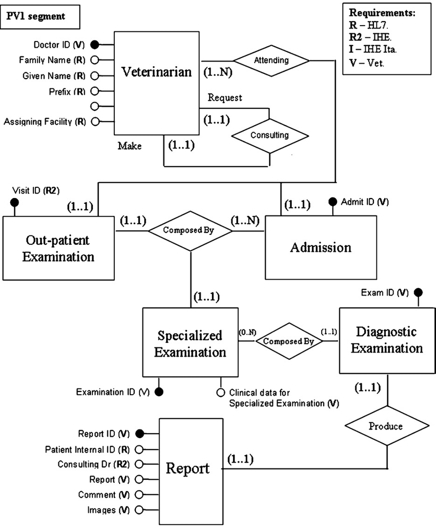 Entity: Relationship Model; The Veterinary Electronic with regard to Er Diagram Veterinary Hospital