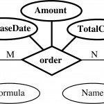 Entity Relationship Model Throughout Er Diagram Total Participation