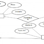 Er Diagram Library Management System   Docsity Pertaining To Er Diagram Library Management System