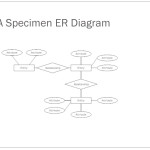 Er Relational Model   Powerpoint Slides With Regard To Er Diagram Disjoint