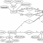 Erd Diagram Oval   Catalogue Of Schemas Regarding Er Diagram Tutorial With Example