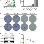 Fig. 5: | British Journal Of Cancer Intended For Er Diagram Journal