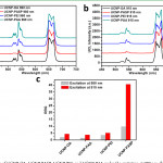 Figure 4 From Polypeptide Functionalized Nayf4:yb(3+),er(3+) In Er Diagram N M