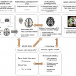 Frontiers | The Dancing Brain: Structural And Functional Intended For Er Diagram In   Dance Class