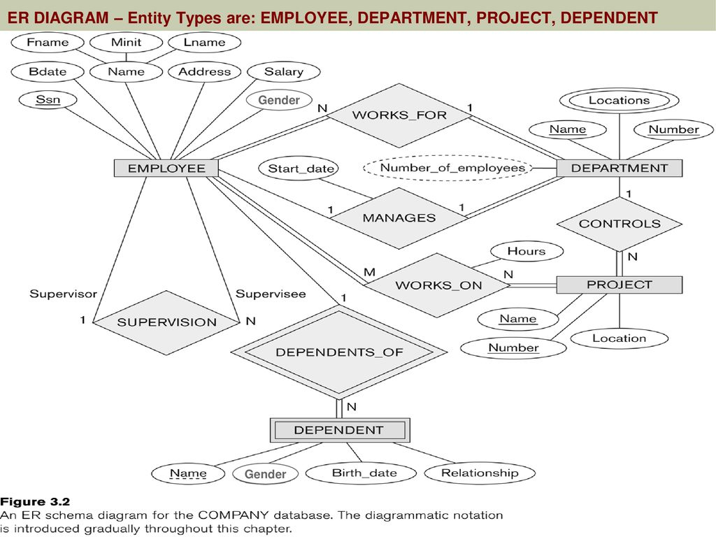 Er Diagram Types | ERModelExample.com