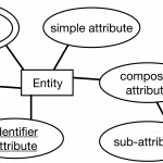 Iste 608 Study Guide, Part 2 · Briennakh Throughout Er Diagram Entity Vs Attribute