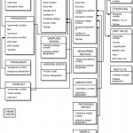 Logical Data Model Boris | Download Scientific Diagram Throughout Logical Data Model