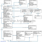 Oracle Erp Er Diagrams | Triniti In Er Diagram For Erp System