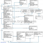 Oracle Erp Er Diagrams | Triniti In Oracle Er Diagram