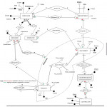 Solved: Incorporate This Additional Information Into The P Intended For Er Diagram Union