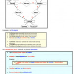 Solved: O Design A Relational Data Model For The Following Throughout Er Model Foreign Key