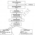 Study Flow Chart. Abbreviations: Abd, Abduction; Er Throughout Er Chart