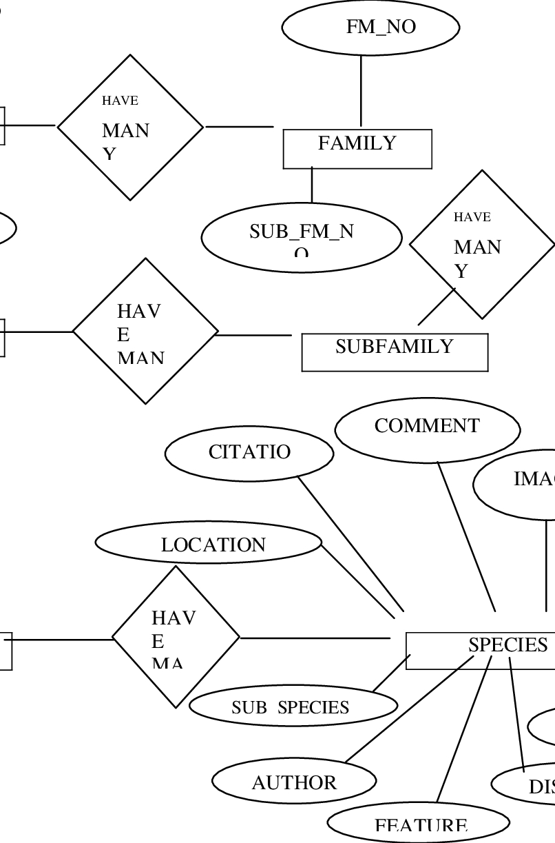 The Design Of The Database Based On The Entity Relationship regarding Er Diagram Based On Queries