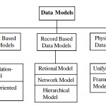 Types Of Data Models In Hindi   डेटा मॉडल के Throughout Er Diagram Hindi