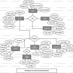 University Bulletin Board Er Diagram | Freeprojectz Intended For Er Diagram Veterinary Hospital