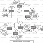 University Management System Er Diagram | Freeprojectz With U In Er Diagram