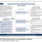 Using A Population Health Driver Diagram To Support Health With Regard To Driver Diagram