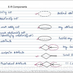12 Components In Er Diagram With Er Diagram Notations In Dbms