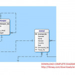 Central Zoo Erd Solution Regarding Er Diagram Zoo