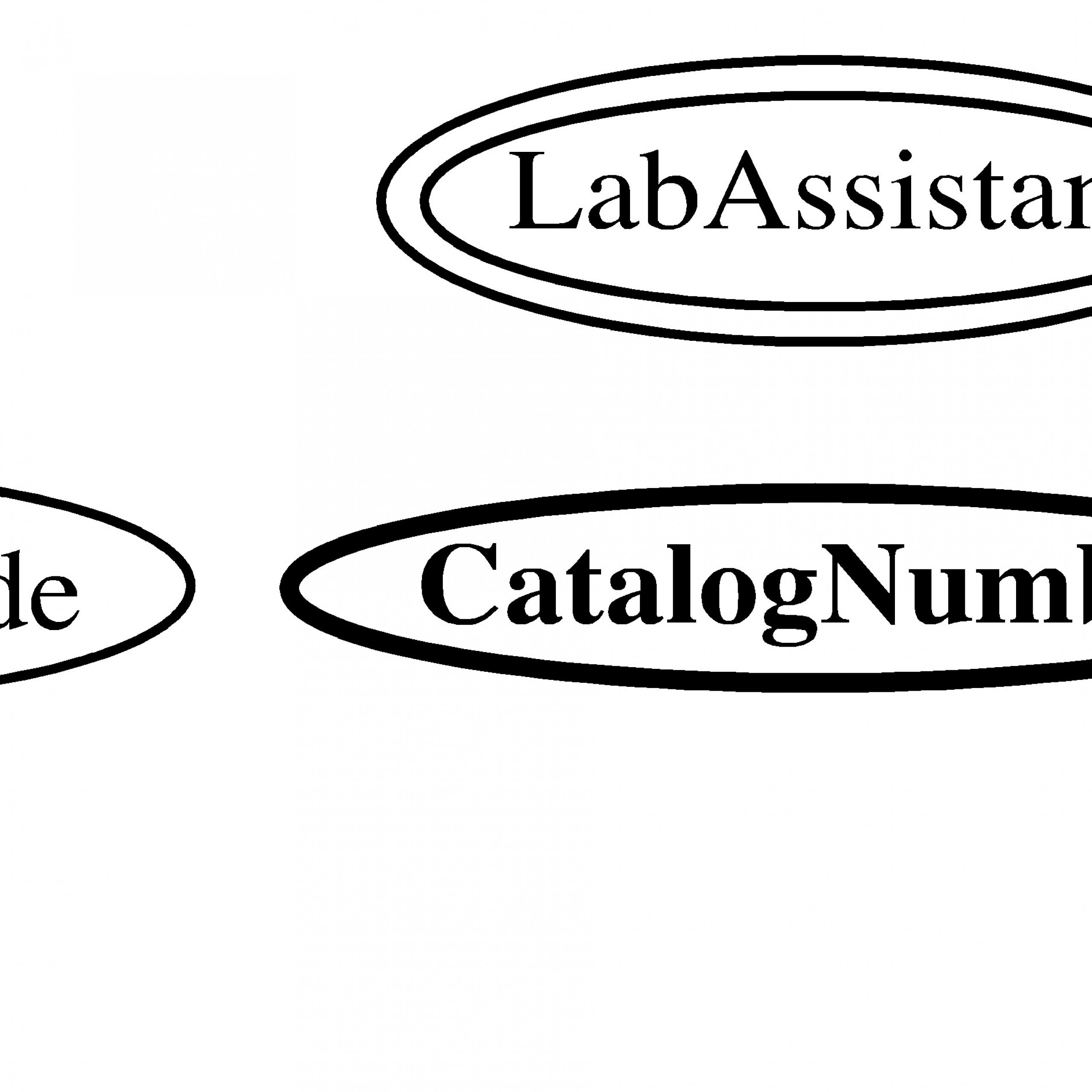 Entity-Relationship Model within Double Line In Er Diagram