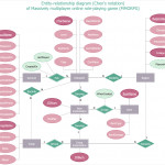 How To Make Chen Er Diagram | Entity Relationship Diagram Inside Er Diagram Attribute On Relationship