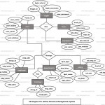 Image Result For Er Diagram Hr Management System In 2020 Throughout Er Diagram With Queries