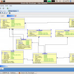 Oracle Sql Developer 2.1.1, Data Modeler Viewer Plugin Inside Er Modeler