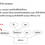 Ppt   บทที่ 2 E R Model (Entity Relationship Model With Regard To Er Diagram M N คือ