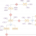 Working On A Scenario Where Two Entity Types Have Two Kinds Inside Erd Relationship Types