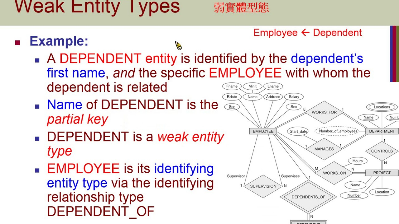 entity relationship data model