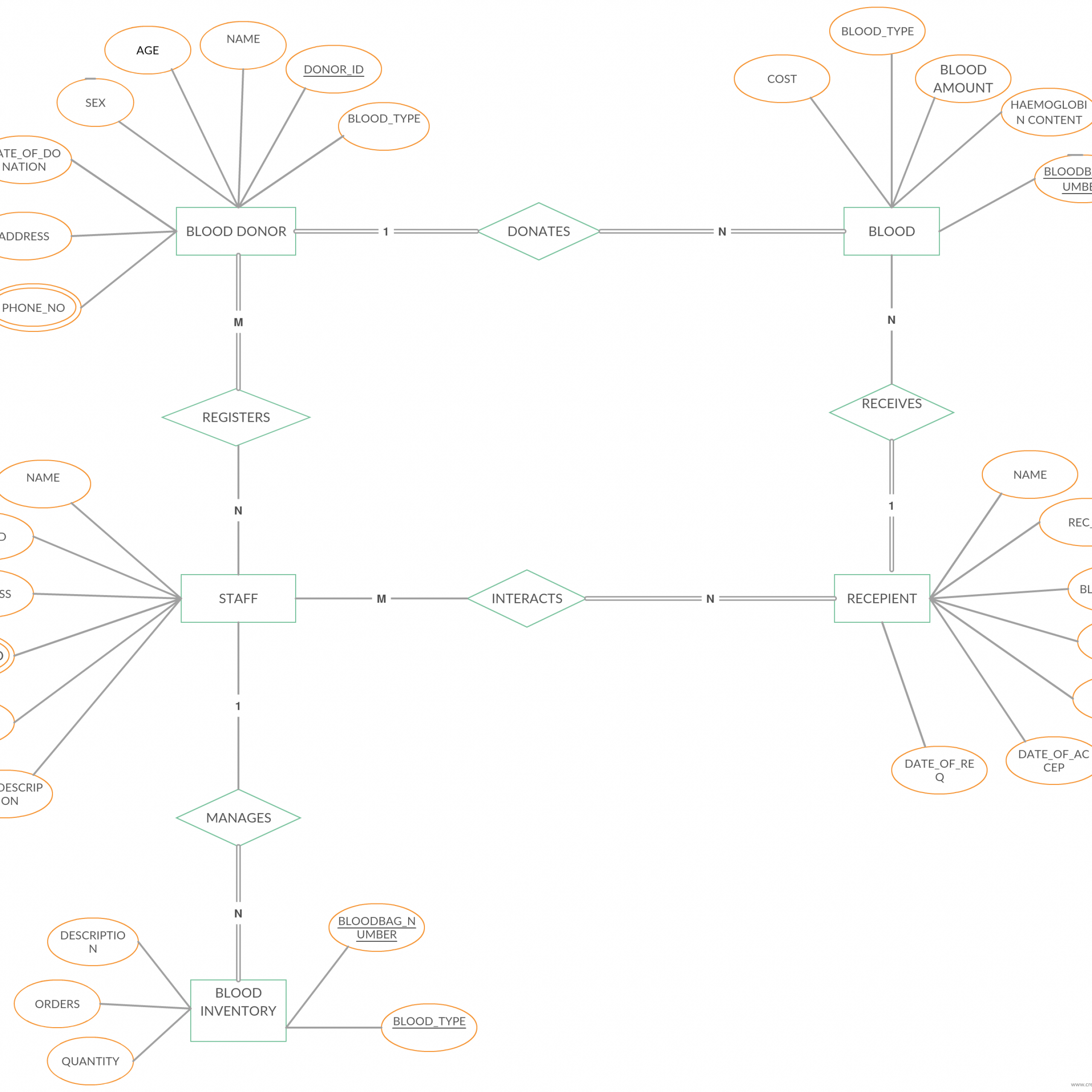 Pin On Entity Relationship Diagram Templates pertaining to Er Diagram Blood Bank Management System